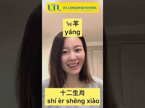 Chinese Zodiac Signs EXPLAINED // #shortsfeed